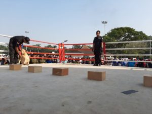 Penyelenggaraan Pergelaran Eksibisi Tinju dalam Rangka Puncak HANI (Hari Anti Narkotika Internasional) 2019